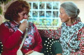 FRIED GREEN TOMATOES (US/BR 1991) KATHY BATES, JESSICA TANDY