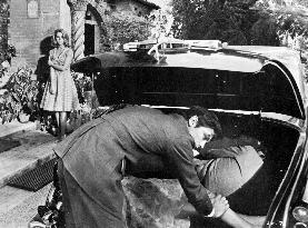 LES FELINS aka The Love Cage