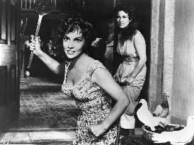 Legge, La (1958) Gina Lollobrigida as Marietta... aka Law, T