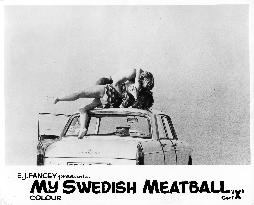 MY SWEDISH MEATBALL