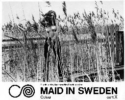 MAID IN SWEDEN