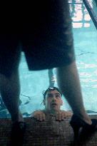 SWIMFAN