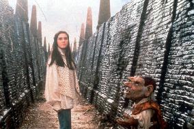 LABYRINTH