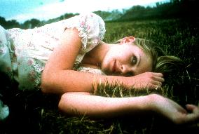 THE VIRGIN SUICIDES