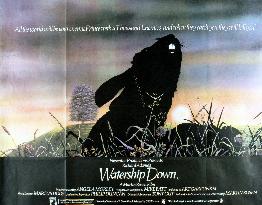 WATERSHIP DOWN