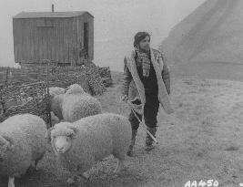 Far from the Madding Crowd (1968) Film