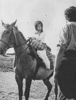 Far from the Madding Crowd (1968) Film