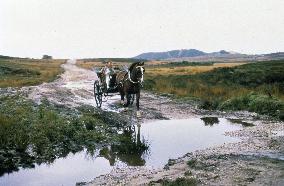 Far from the Madding Crowd (1968) Film