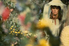 Far from the Madding Crowd (1968) Film