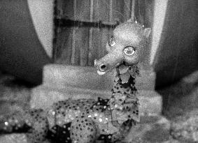 Torchy the Battery Boy TV series (1957)