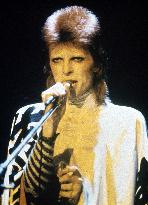 Ziggy Stardust and the Spiders from Mars film  (1973)