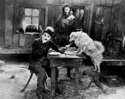 The Gold Rush  film (1925)