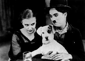 A Dog's Life  film (1918)