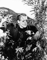 Frankenstein film (1931)