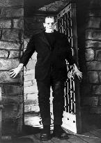 Frankenstein film (1931)
