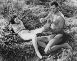Tarzan And His Mate film (1934)