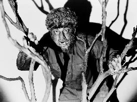 The Wolf Man  film (1941)