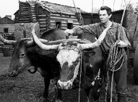 Abe Lincoln In Illinois  film (1940)