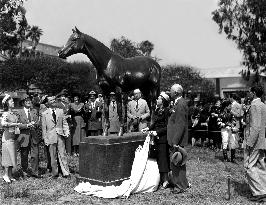 The Story Of Seabiscuit  film (1949)