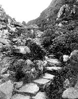 Llanbedr, the Roman Steps c1863