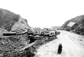 Flamborough, Head, South Landing c1885