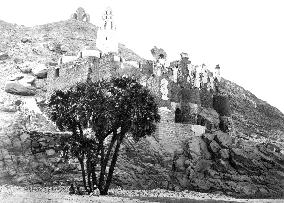 Island of Philae, a Doum Palm and Ruined Mosque c1857