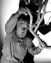 The Wolf Man  film (1941)