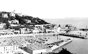 Torquay, from Waldon Hill 1888