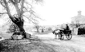 Bainbridge, 1889
