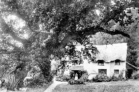 Selworthy, the Village 1890