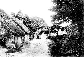 Studland, New Inn 1890