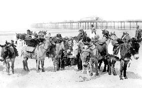 Rhyl, Donkeys on the Sands 1891