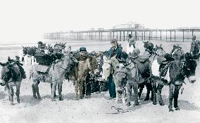 Rhyl, Donkeys on the Sands 1891