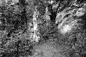 Cefn Mawr, the steps to the Cefn Caves 1891
