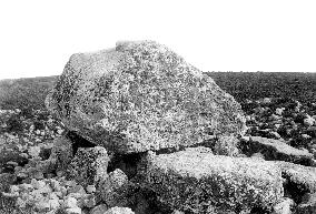 Reynoldston, Moor, King Arthur's Stone 1893