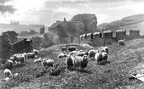Tintagel, King Arthur's Castle 1894
