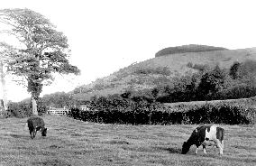 Chanctonbury Ring, Chanctonbury Ring 1894