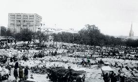 Norwich, Cattle Market and Castle 1896