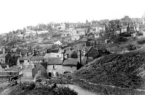 Madeley Wood, from the South 1896