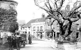 Bexhill, Old Town, Walnut Tree 1897