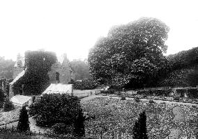 Hawthornden, Ben Jonson's Tree 1897