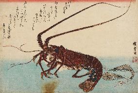 Lobster &amp; shrimps -Utagawa Hiroshige