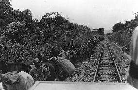 Chinese army in Burma