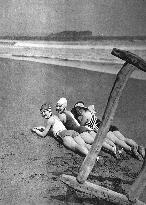 Three Japanese swimmers