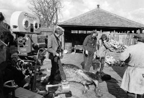 All Creatures Great and Small (1975) Film