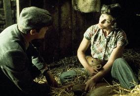 All Creatures Great and Small (1975) Film