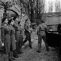 The Amorous Prawn (1962) Film