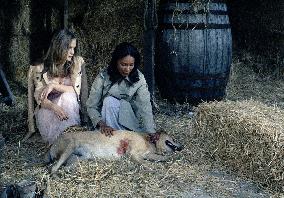 The Beast Must Die (1974) Film