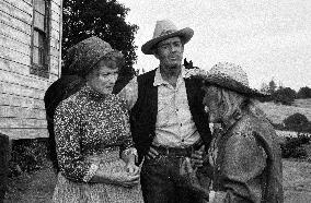 The Red Pony (1973) Film