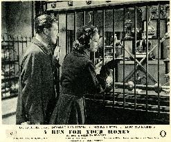 A Run for your Money (1949) Film